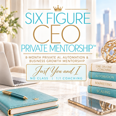 Six Figure CEO Private Mentorship